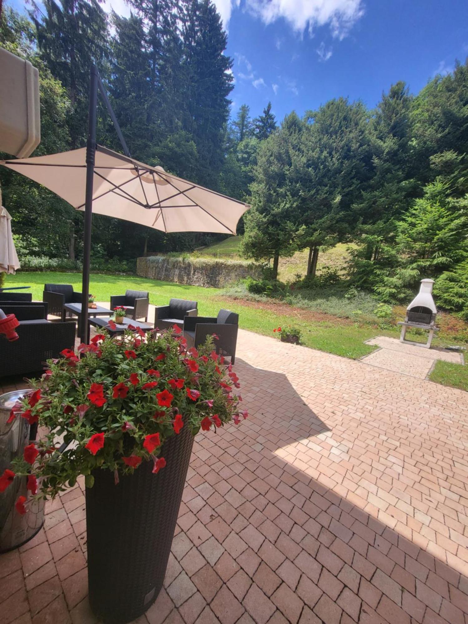 Apartamenty Willove Wzgórze Duszniki Zdrój Exterior foto